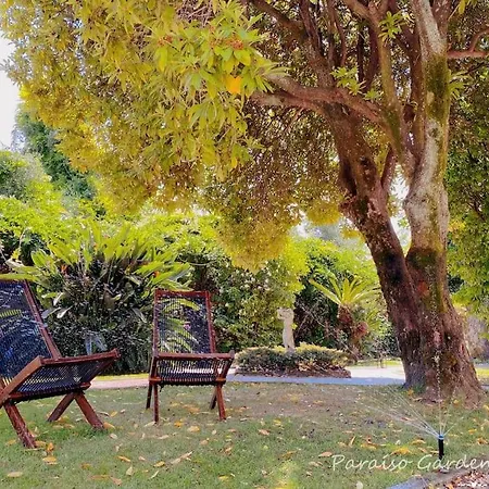Apartment Paraiso Garden Suite--- Spacious & Downtown